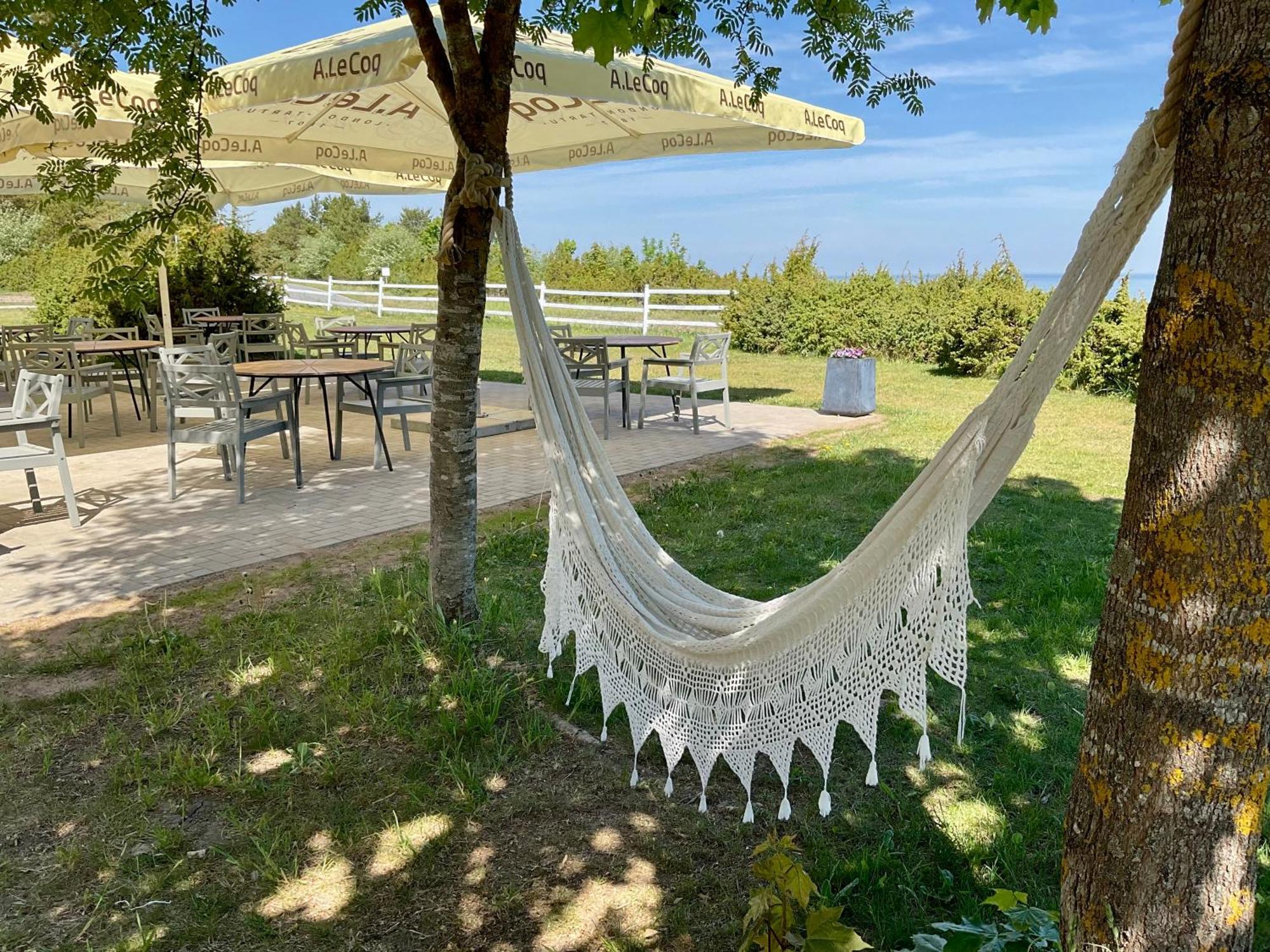 Hotel Kliff Butiik Majutus & Restoran à Panga Extérieur photo